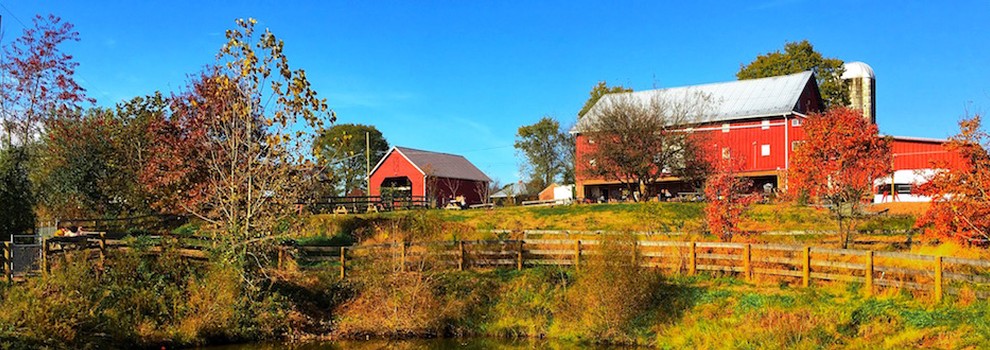 Rocklands Farm Winery Homepage